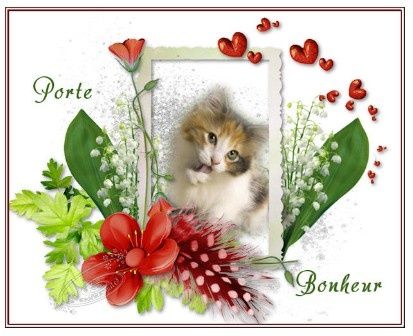 bonheur2013_3.jpg