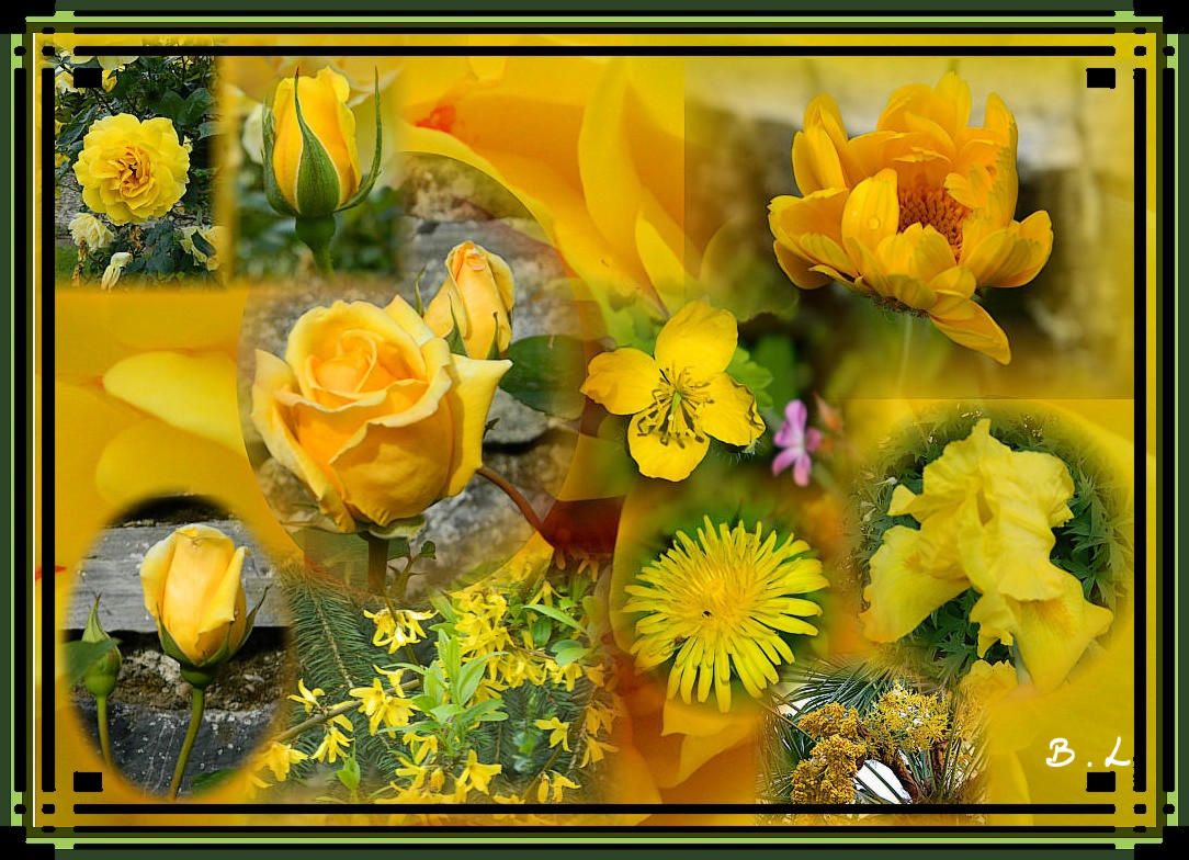 page de fleurs jaune