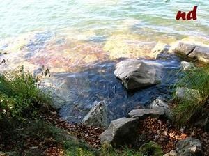 Bonlieu-13.JPG