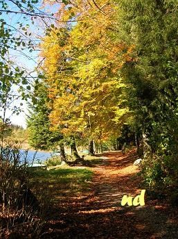 Bonlieu-5.JPG