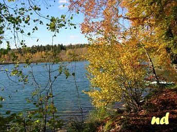 Bonlieu-7.JPG