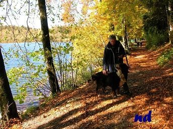 Bonlieu-8.JPG