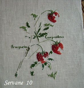 10 Servane fraises
