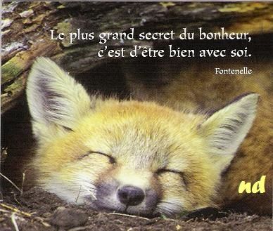 Secret-du-bonheur-red.JPG