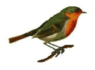 rouge gorge croixpatch74-copie-1