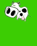 CowLicking.gif