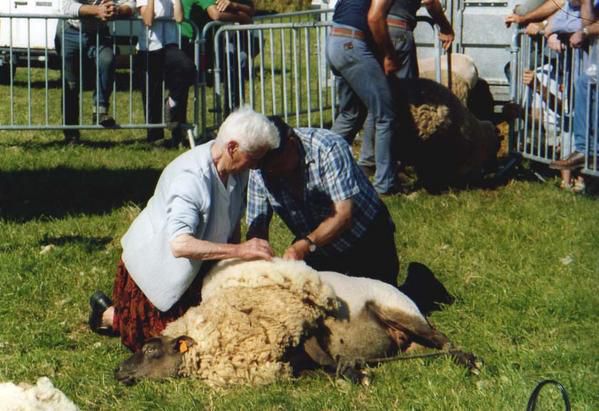 foire-au-mouton-23.jpg
