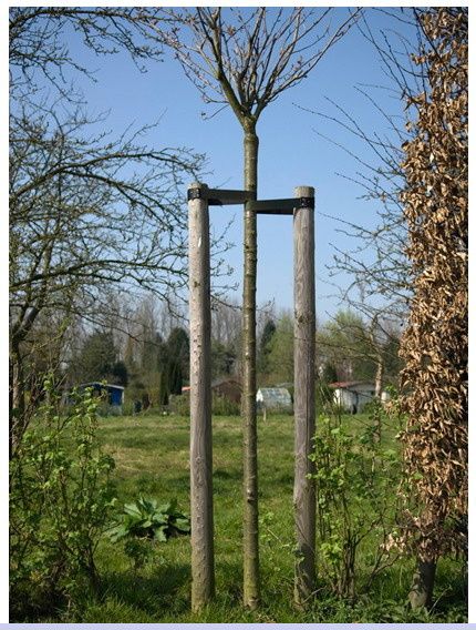 Capture tree