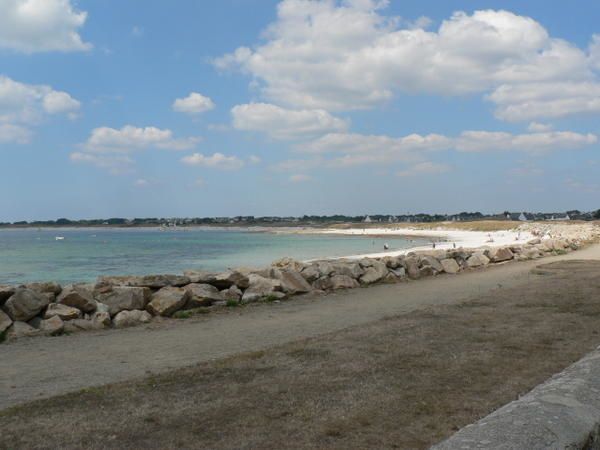 Impossible de les voir ici, ils vont immanquablement sur les côtes bétonnées et hideuses de la Vendée ou La Grande Motte peut-être ?