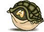 11.gif