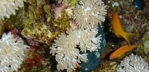 DSC04801.JPG