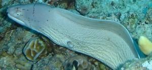 DSC04706.JPG
