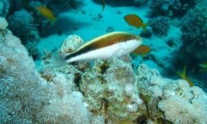 DSC04743a.jpg