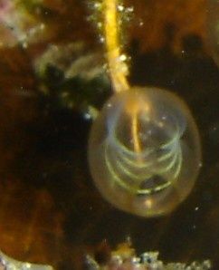 DSC04054.JPG