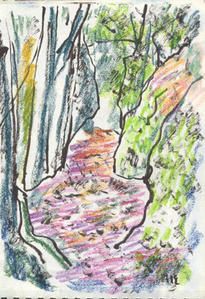 CROQUIS-1W.jpg