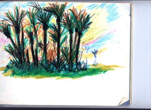Web0005-PalmeraieW-copie-1.jpg
