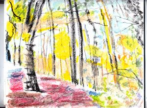 Web0002chemin-retour