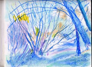 Web0003arbre-bleu