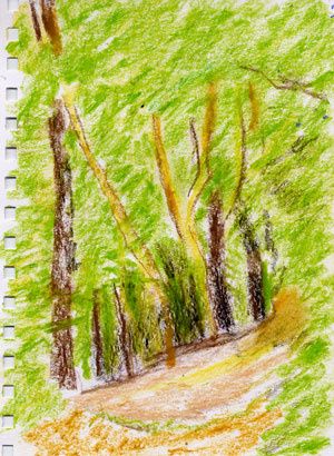 Web0003---ARBRES-A-w
