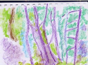 Web0007-ARBRE-EW