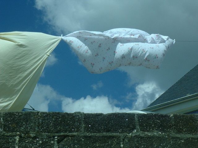 19 07 01 n°4