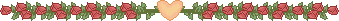 divider1b.gif