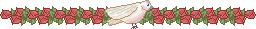 divider1c.gif