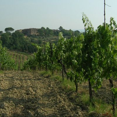 tn Toscane7