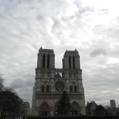 tn cathédrale