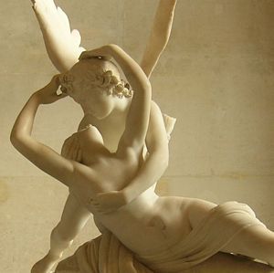 tn Canova