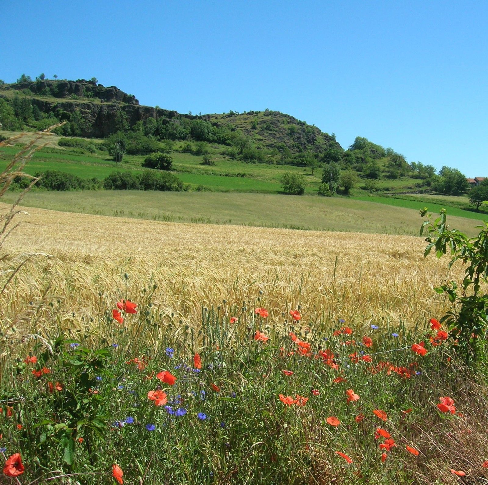 tn Polignac