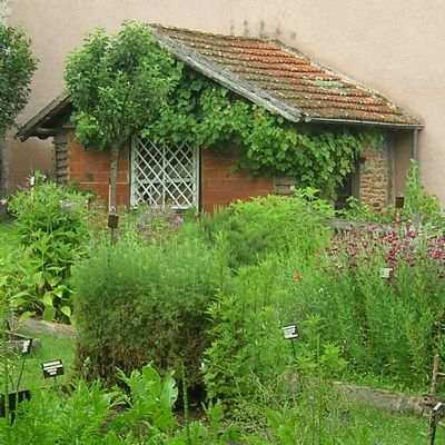 tn jardin02