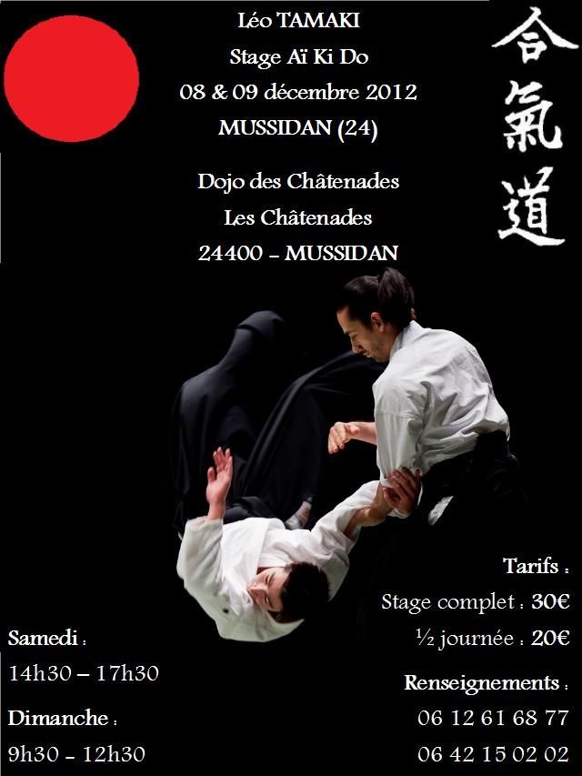 Stage aikido Tamaki decembre 2012