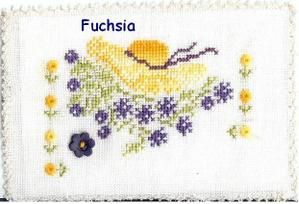 Fuchsia-pour-Frezzia67-copie-1.JPG