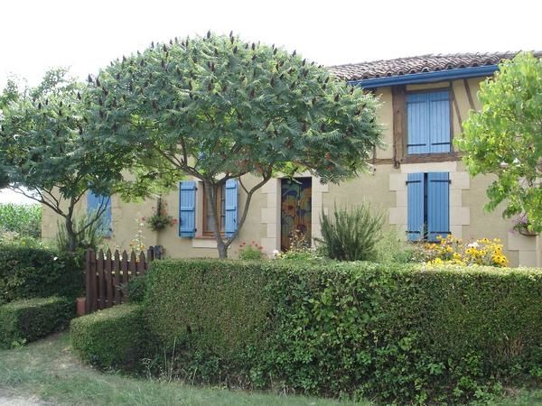 maison de vacance bien sympathique!