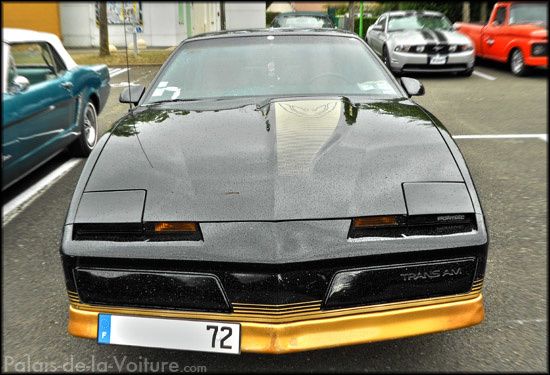 DSCN2020_pontiac_firebird_trans-am_v8_ho_1984.JPG