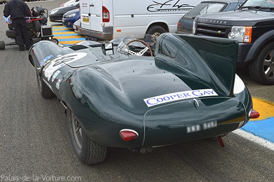 AG46-0108_jaguar_type_d_1955.jpg