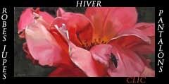 BOUTONHIVER