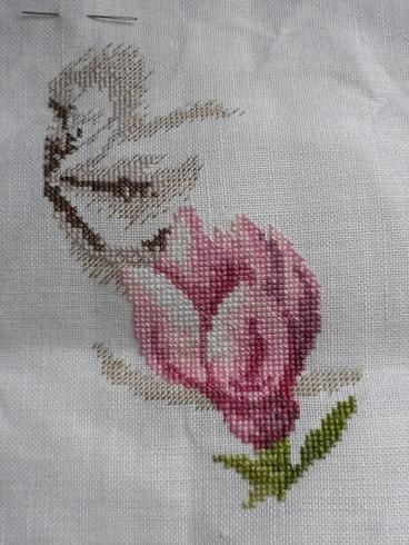 1er mars Damfleur