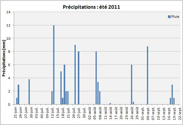 Pluie_ete11.jpg