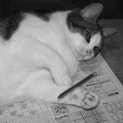 Chatte Chatte