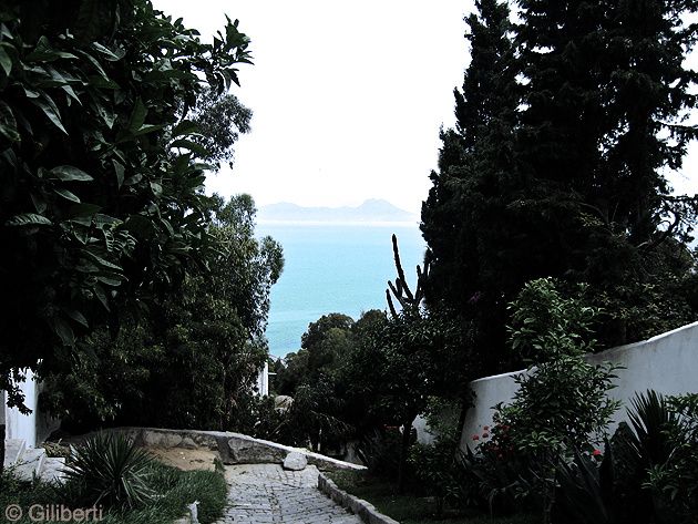 Sidi-Bou-Said