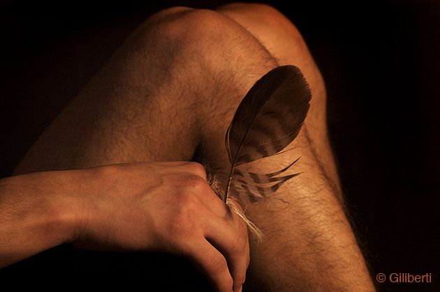 plume-et-mains-
