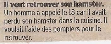 parisien 5