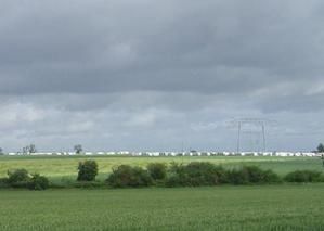 GDV-bazochzq-2007-05-14-02.JPG