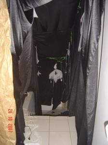 srh-halloween-2007-10-02.jpg