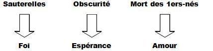Foi1-copie-1.jpg