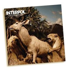 interpol.jpg