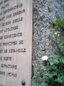 Gen--ve--Michel-Servet--oeillet-24-juillet-07.JPG