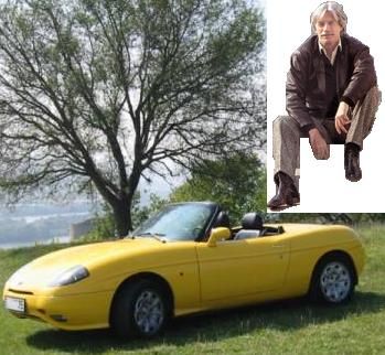 ferrat jean ferrari jaune